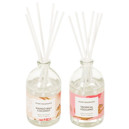 Room fragrance diffuser with exotic coconut and mango scent for long-lasting freshness at home, 19cm, 2 pieces
