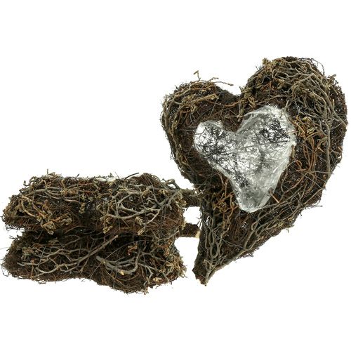 Product Vine Plant Hearts 30cm x 20cm x6cm 3 pcs