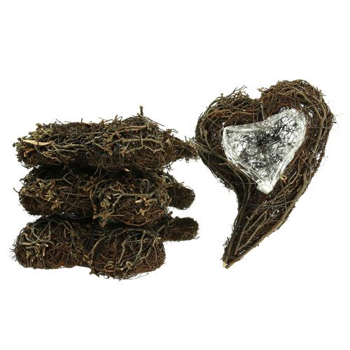 Product Vine plant heart nature 15cm x23cm x5cm 4pcs