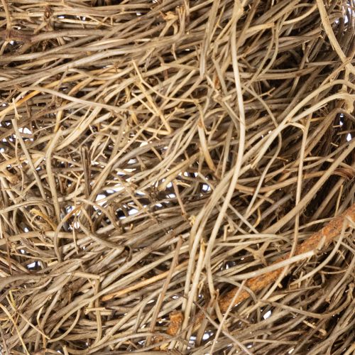 ProductName  
Natural Wreath Base for Crafting and Seasonal Decoration – 35cm  

ProductDescription  
<div>  
<h2>Natural Wreath Base for Creative Home Decoration</h2>  

<p>This natural wreath base is made from authentic grapevine material and measures 3 | Floristik24.co.uk