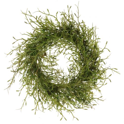 Floristik24 Spring wreath with moss green Ø30cm