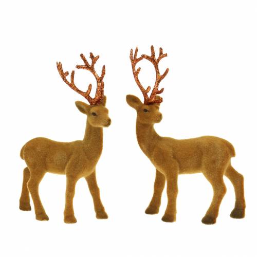 Floristik24 Reindeer flocked curry, copper 20cm 2pcs