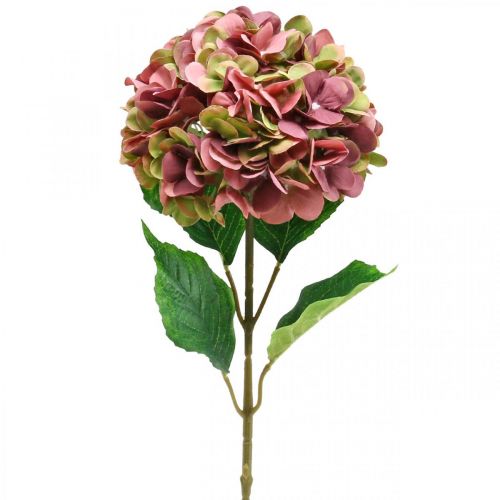 Floristik24 Hydrangea artificial pink, Bordeaux artificial flower large 80cm