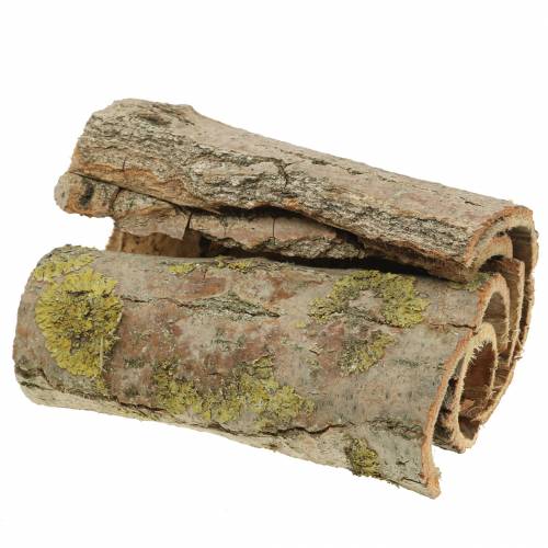 Floristik24 Tree bark for handicrafts nature 13cm 1kg