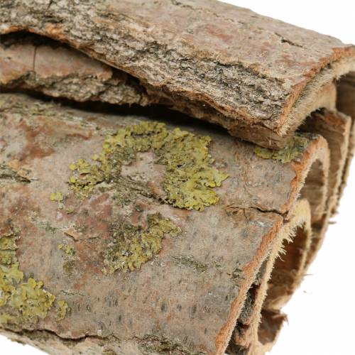 Floristik24 Tree bark for handicrafts nature 13cm 1kg