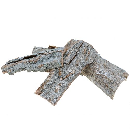 Floristik24 Bark for crafting White washed 13cm 1kg