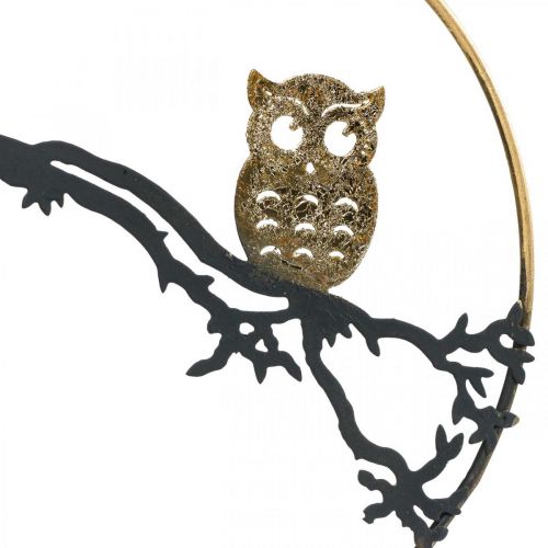 Product Window decoration owl on branch autumn, decorative ring metal 22cm