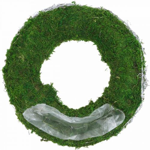 Floristik24 Moss wreath plant ring with vines and moss green, white Ø35cm