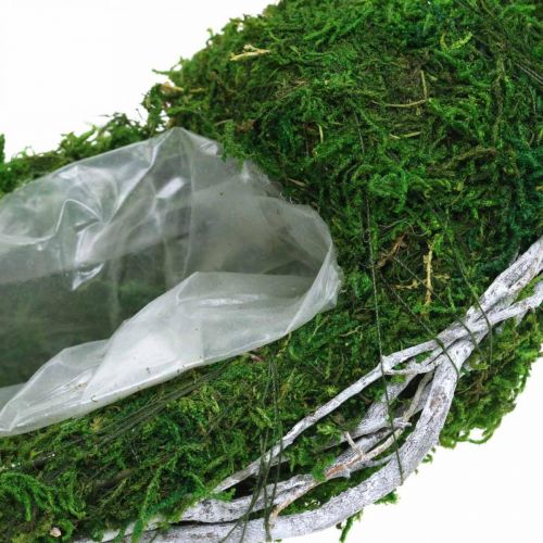 Floristik24 Moss wreath plant ring with vines and moss green, white Ø35cm
