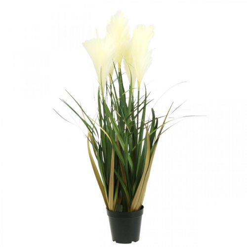 Product Reed grass in a pot Artificial potted plant Cream, Green 79cm