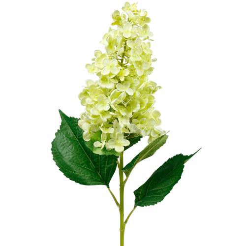 Floristik24 Artificial panicle hydrangea, hydrangea green, high quality silk flower 98cm