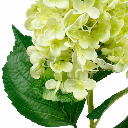Product Artificial panicle hydrangea, hydrangea green, high quality silk flower 98cm