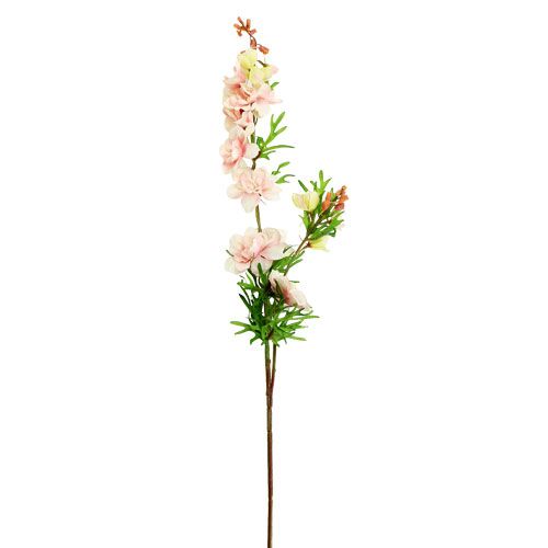 Floristik24 Delphinium light pink L95cm