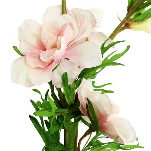 Floristik24 Delphinium light pink L95cm