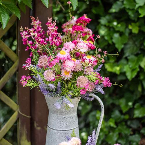 Product Rhodanthe pink-pink, silk flowers, artificial plant, bunch of straw flowers L46cm