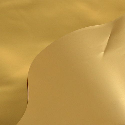 Floristik24 Rondella gold shiny, matt Ø50cm 50pcs