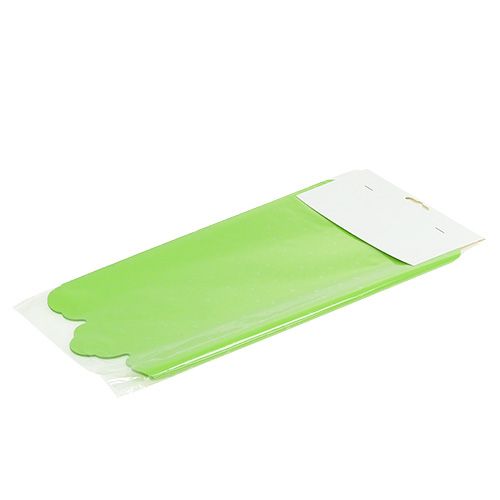 Floristik24 Rondella cuff apple green Ø38cm 50pcs