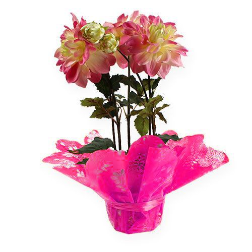 Floristik24 Rondella cuffs Ø58cm Pink 50pcs