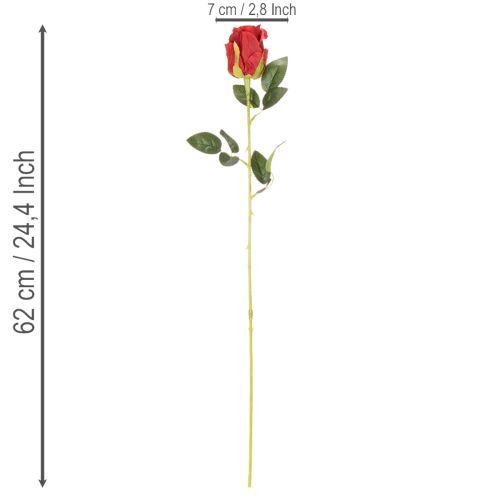 Artificial Red Roses with Long Stem 62cm – Set of 12 | Floristik24.co.uk
