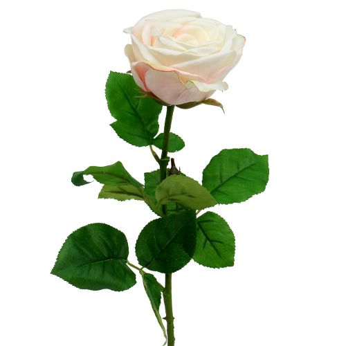 Floristik24 Artificial rose cream 69cm