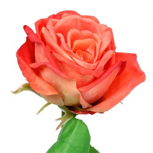 Floristik24 Rose artificial flower salmon 67,5cm