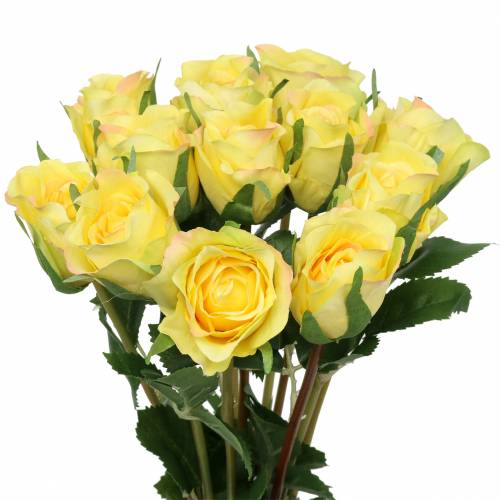 Floristik24 Rose yellow 42cm 12pcs