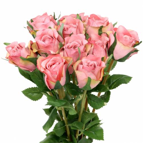 Floristik24 Rose old rose 42cm 12p