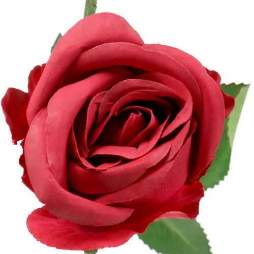 Floristik24 Rose Red 44cm 6S