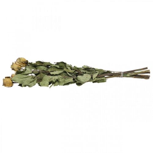 Floristik24 Dried flower rose, Valentine&#39;s Day, dried floristry, rustic decorative roses yellow-violet L45-50cm 5 pcs