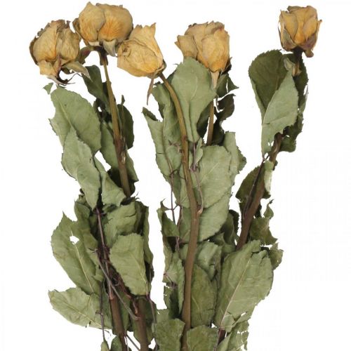 Floristik24 Dried flower rose, Valentine&#39;s Day, dried floristry, rustic decorative roses yellow-violet L45-50cm 5 pcs