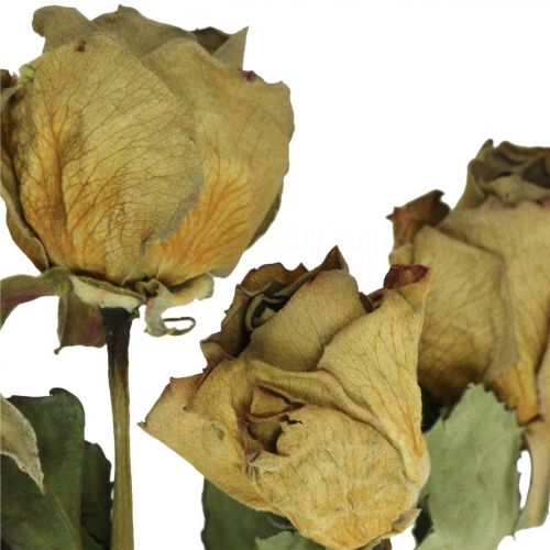 Floristik24 Dried flower rose, Valentine&#39;s Day, dried floristry, rustic decorative roses yellow-violet L45-50cm 5 pcs