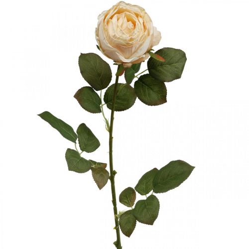 Floristik24 Rose Cream Silk Flower Artificial Rose L74cm Ø7cm