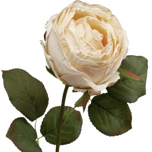 Product Rose Cream Silk Flower Artificial Rose L74cm Ø7cm