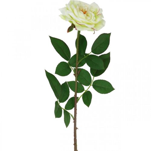 Floristik24 Artificial rose, decorative rose, silk flower cream white, green L72cm Ø12cm