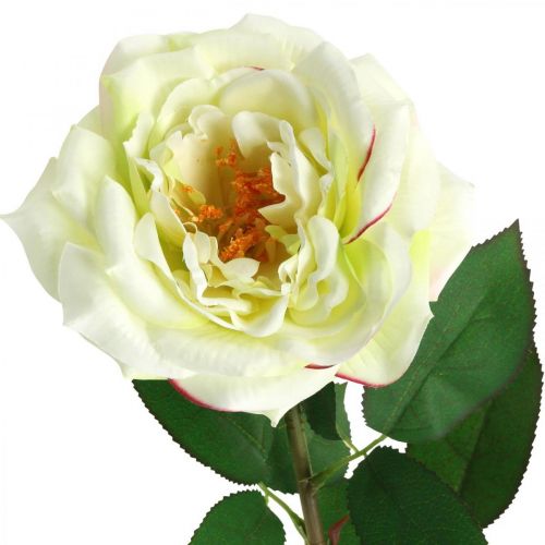 Product Artificial rose, decorative rose, silk flower cream white, green L72cm Ø12cm