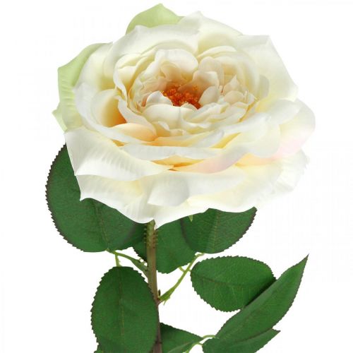 Product Creamy white apricot rose, silk flower, artificial roses L72cm Ø12cm