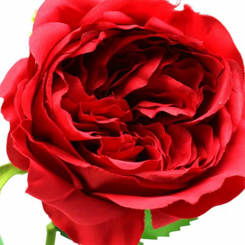 Floristik24 Rose artificial flower red 72cm