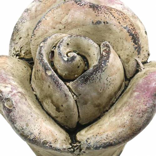 Floristik24 Concrete Rose Grey, Violet Ø7.7 H5.5cm 3 pcs