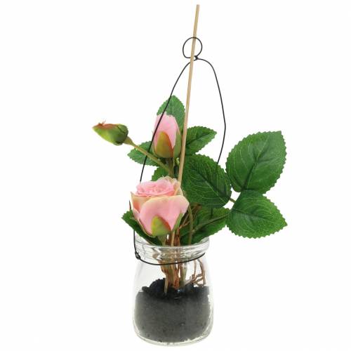 Floristik24 Rose in a glass Rosa H23cm