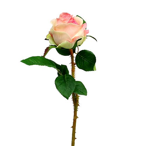 Rose artificial cream-pink Ø9cm L45cm 1p