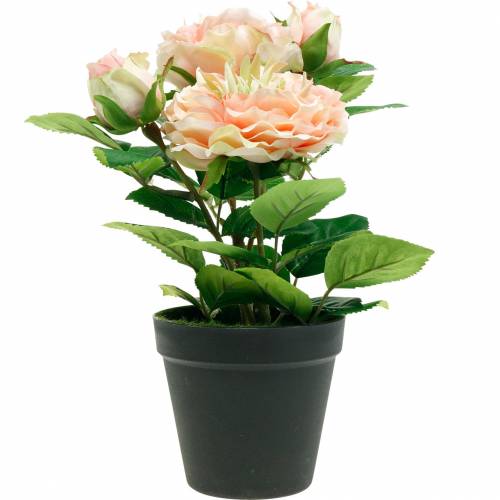 Product Decorative rose in pot, romantic silk flowers, pink peony
