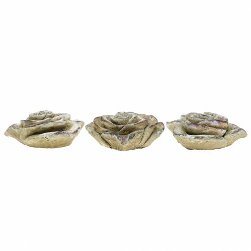 Floristik24 Concrete rose heart grey, violet Ø13 H5cm 3 pcs