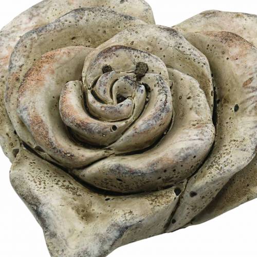 Floristik24 Concrete rose heart grey, apricot Ø13 H5cm 3 pcs