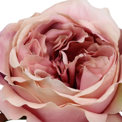 Floristik24 Rose head Cream, Pink 17cm 4pcs