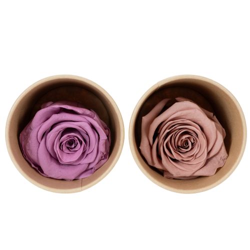 Preserved rose heads, romantic gift, long-lasting roses for special occasions, 5cm, 6 pieces