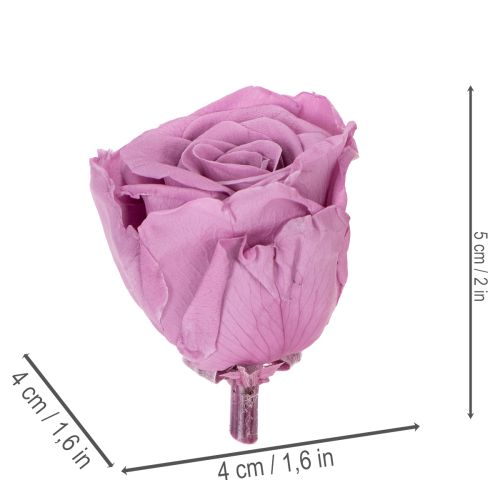 Product Preserved rose heads, romantic gift, long-lasting roses for special occasions, 5cm, 6 pieces