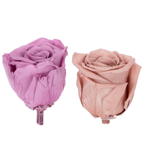 Product Preserved rose heads, romantic gift, long-lasting roses for special occasions, 5cm, 6 pieces