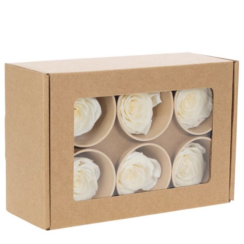 Product Preserved Rose Heads, Durable Table Decoration for a Romantic Atmosphere, Wedding Decoration, 5cm, 6 Pieces