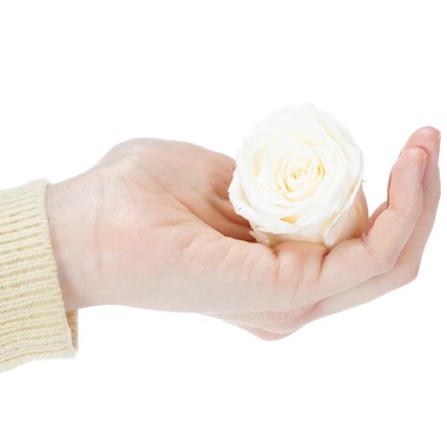 Product Preserved Rose Heads, Durable Table Decoration for a Romantic Atmosphere, Wedding Decoration, 5cm, 6 Pieces