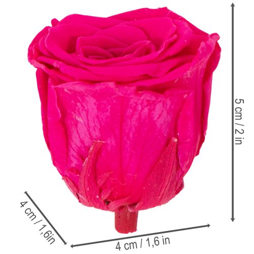 Product Preserved Rose Decorations, Real Flowers for Table Decoration, Unique and Sustainable Blooms, 5cm, 6 Pieces